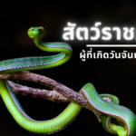 “สัตว์ประจำวันเกิด” หรือ “สัตว์ราชภัย” ผู้ที่เกิดวันอังคาร: งู