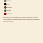 สีมงคลเฉพาะบุคคล